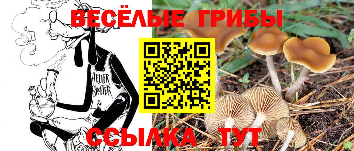 Псилоцибиновые грибы GOLDEN TEACHER  Вход с VPN  Кашира 